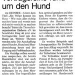 2010 Bille Wochenblatt