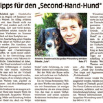 2011 Glinder Zeitung