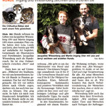 2012 Bergedorfer Zeitung