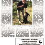 2013-02 Glinder Zeitung