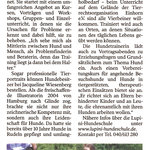 2013-12 Bille Wochenblatt