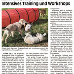 2014-02 Glinder Zeitung